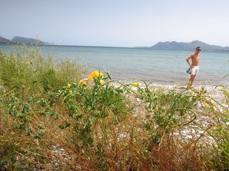 Andreas Lindén, Pollensa, Mallorca